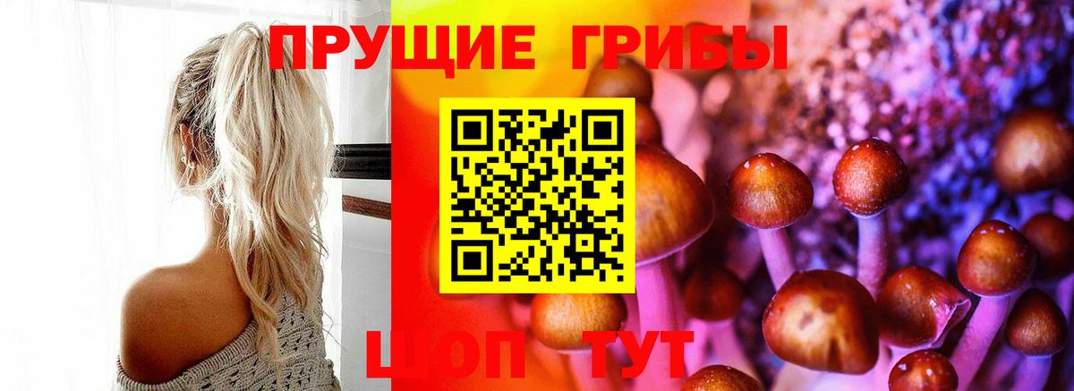 купить закладку  Вход с VPN  Воскресенск  Псилоцибиновые грибы Magic Shrooms 